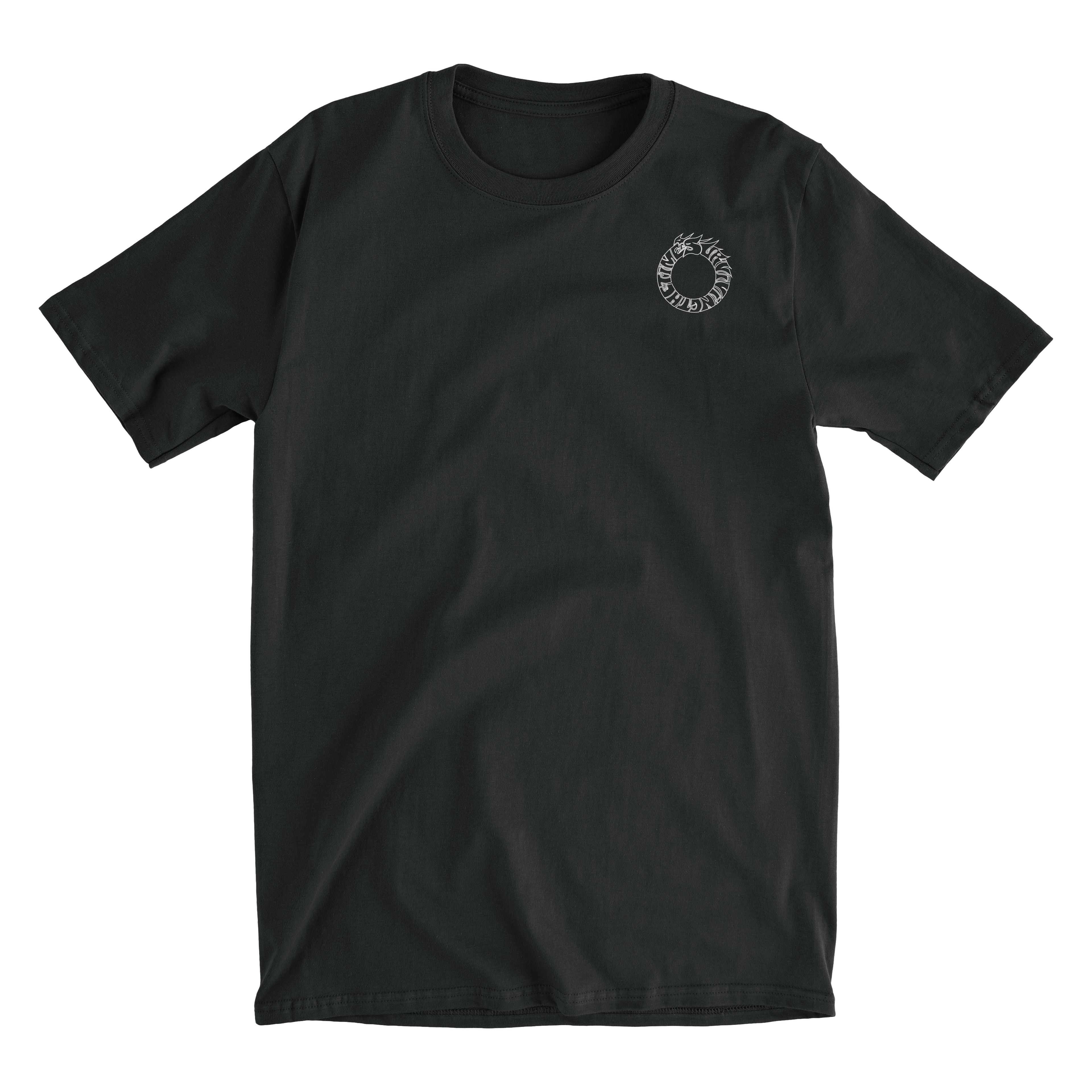 Surviving the Times / Black Graffiti